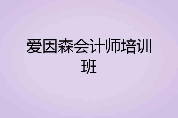 爱因森会计师培训班