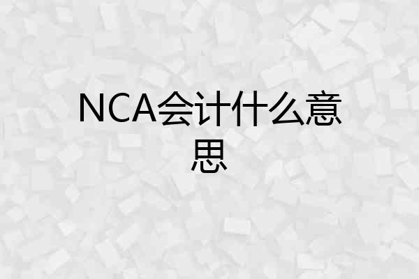 NCA会计什么意思