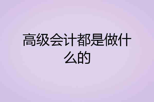 高级会计都是做什么的