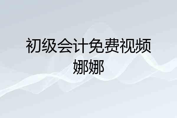 初级会计免费视频娜娜