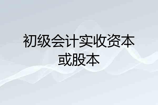 初级会计实收资本或股本