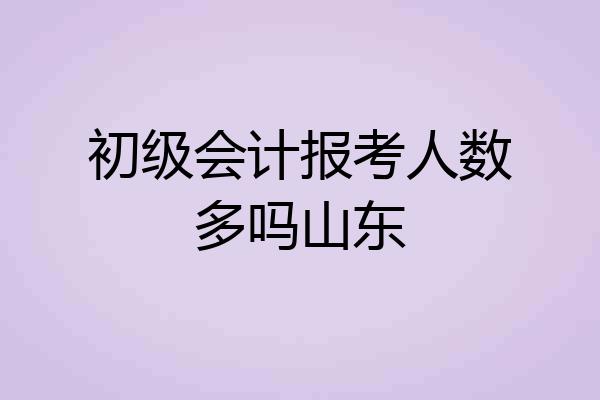 初级会计报考人数多吗山东