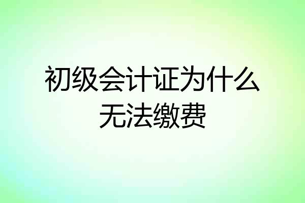 初级会计证为什么无法缴费