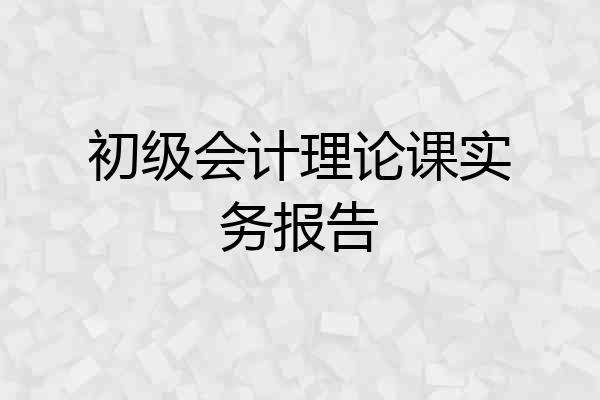 初级会计理论课实务报告