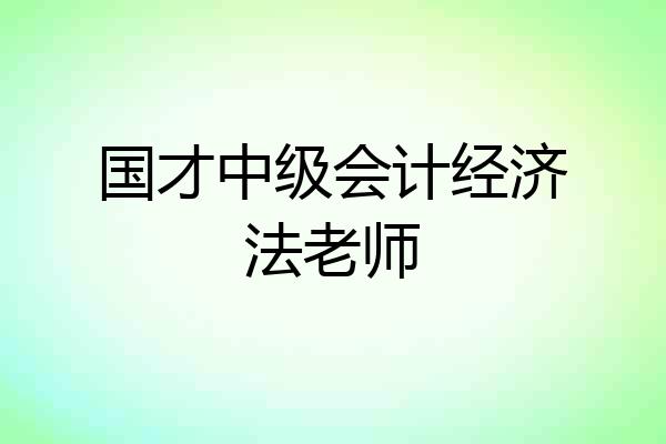 国才中级会计经济法老师