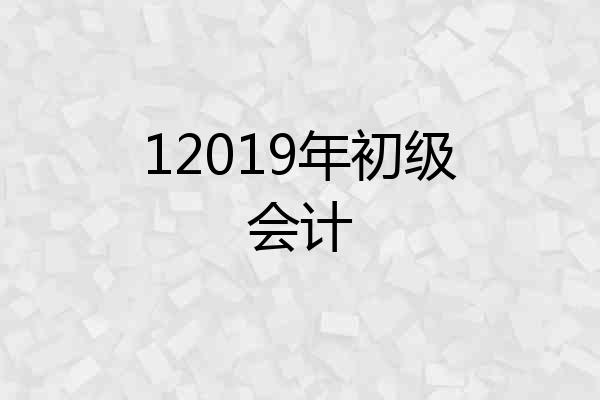 12019年初级会计