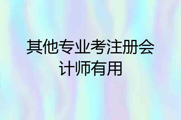 其他专业考注册会计师有用