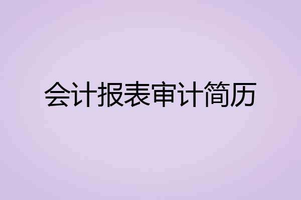 会计报表审计简历