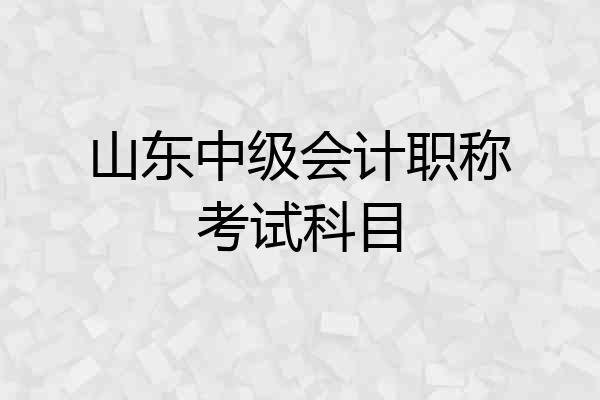 山东中级会计职称考试科目