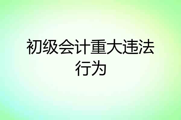 初级会计重大违法行为