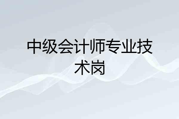 中级会计师专业技术岗