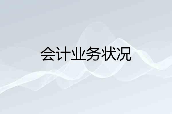 会计业务状况