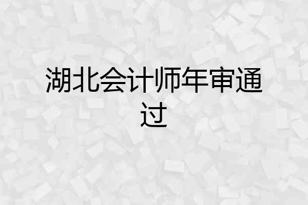 湖北会计师年审通过