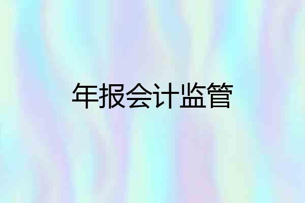 年报会计监管