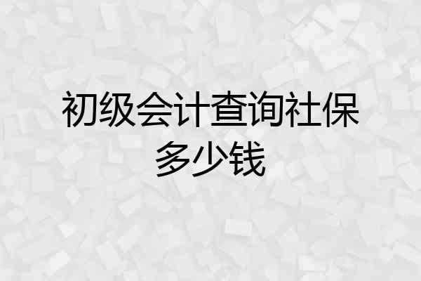 初级会计查询社保多少钱