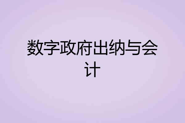 数字政府出纳与会计