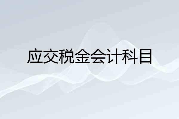 应交税金会计科目