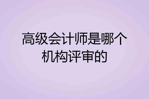 高级会计师是哪个机构评审的