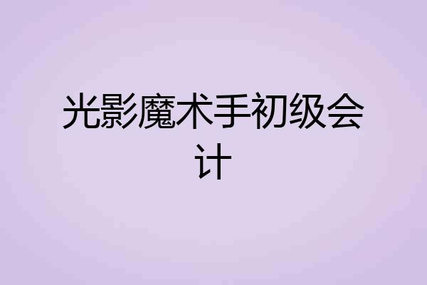 光影魔术手初级会计