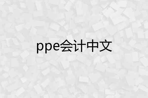 ppe会计中文