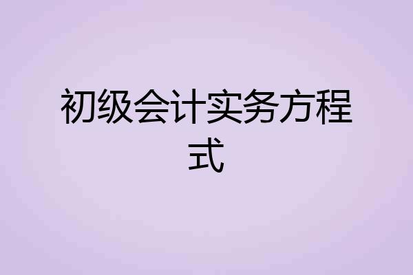 初级会计实务方程式