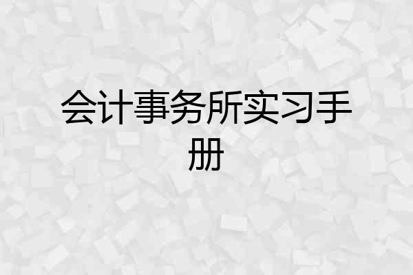 会计事务所实习手册