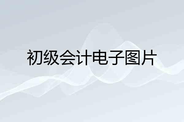 初级会计电子图片
