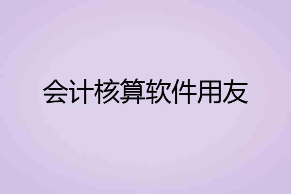 会计核算软件用友