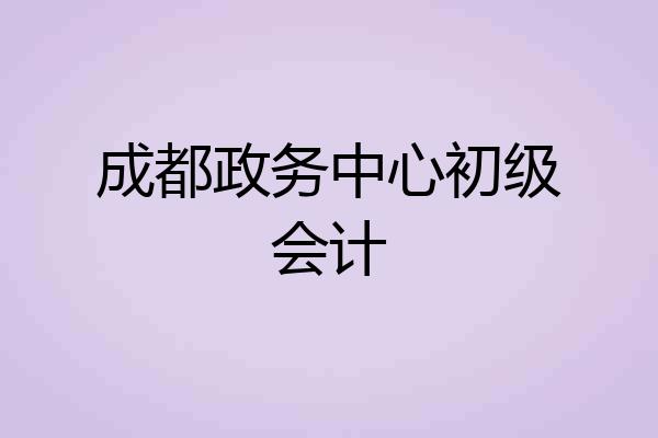 成都政务中心初级会计