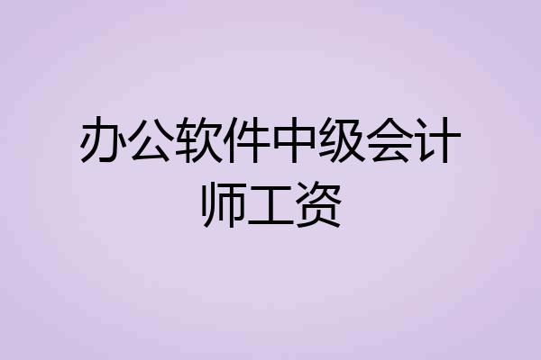 办公软件中级会计师工资