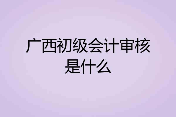 广西初级会计审核是什么