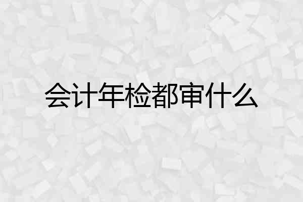 会计年检都审什么