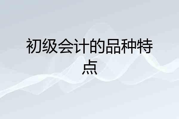初级会计的品种特点