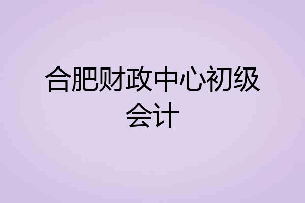 合肥财政中心初级会计