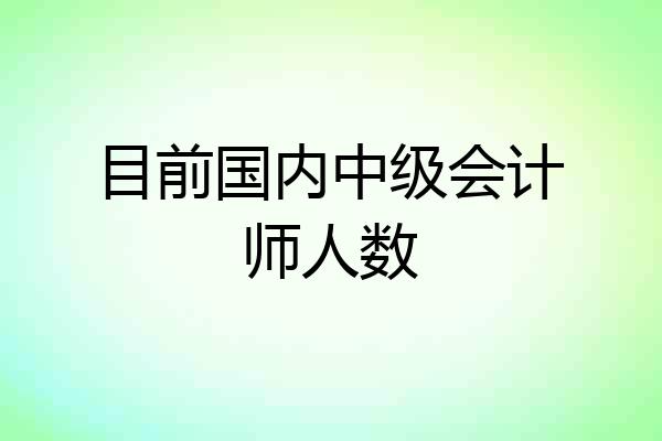 目前国内中级会计师人数