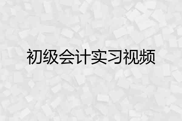 初级会计实习视频