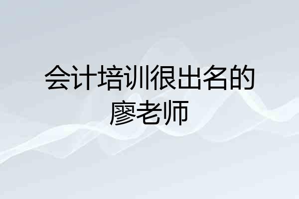 会计培训很出名的廖老师
