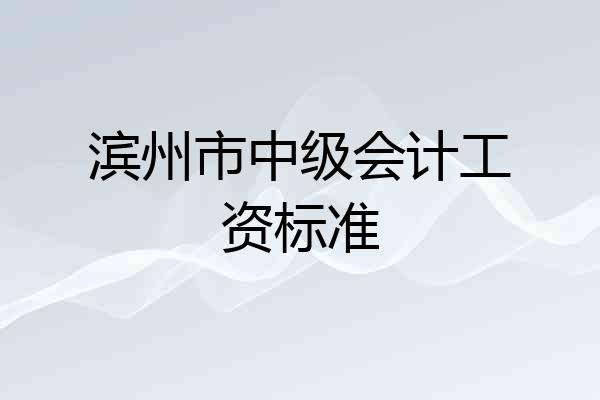 滨州市中级会计工资标准
