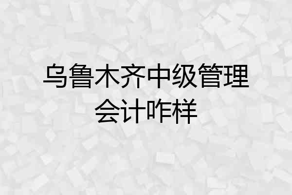 乌鲁木齐中级管理会计咋样