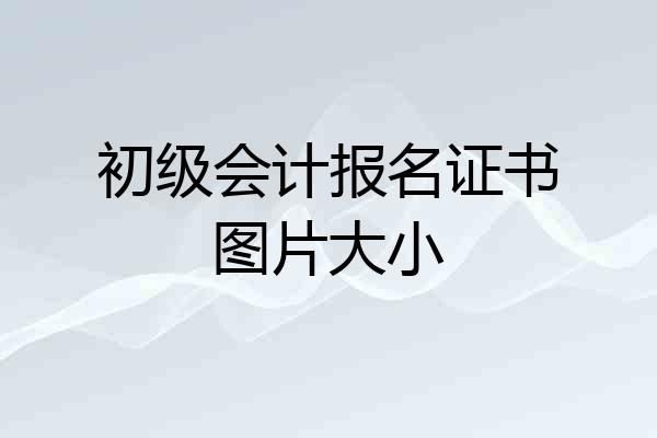 初级会计报名证书图片大小