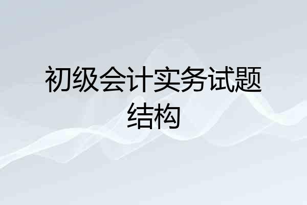 初级会计实务试题结构