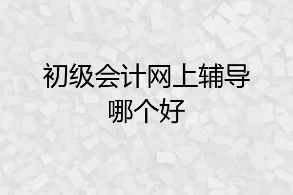初级会计网上辅导哪个好