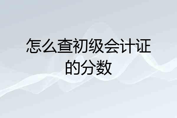 怎么查初级会计证的分数