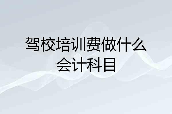 驾校培训费做什么会计科目