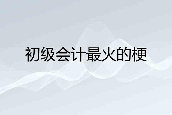 初级会计最火的梗
