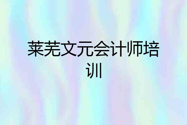 莱芜文元会计师培训