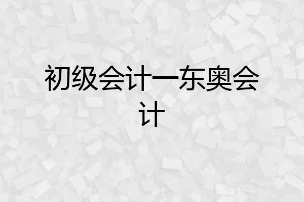 初级会计一东奥会计