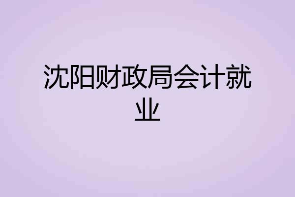 沈阳财政局会计就业