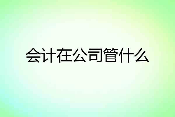 会计在公司管什么
