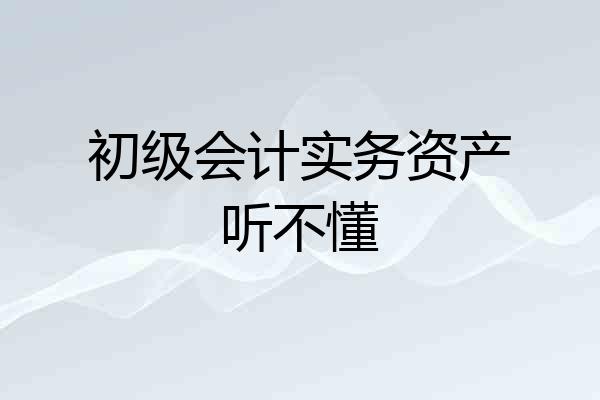初级会计实务资产听不懂